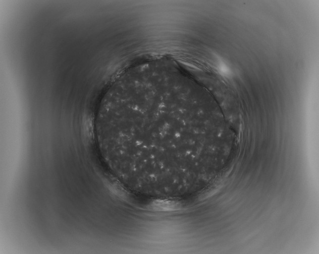 X0000111050699200907231556