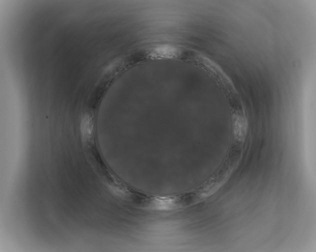 X0000111050701200907231556