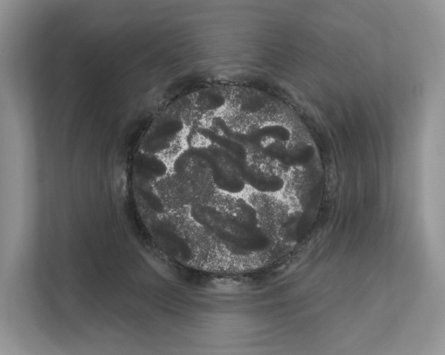 X0000111050703200907231556