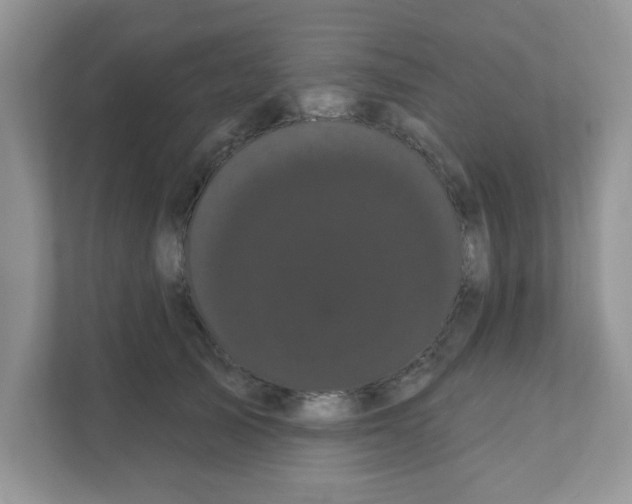 X0000111050705200907231556