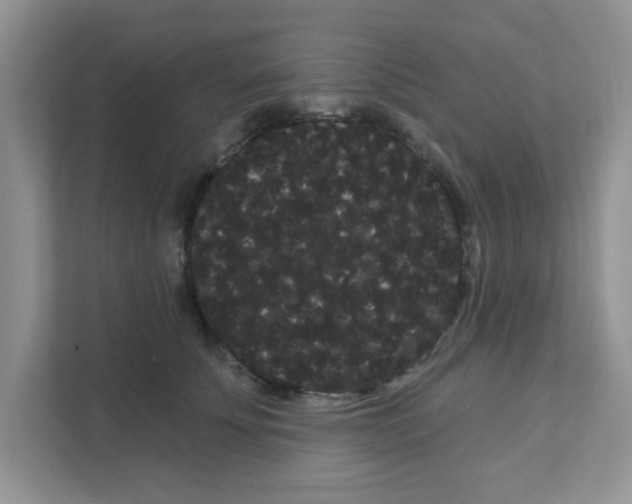 X0000111050707200907231556