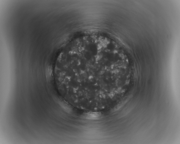 X0000111050711200907231556