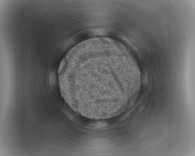 X0000111050715200907231556