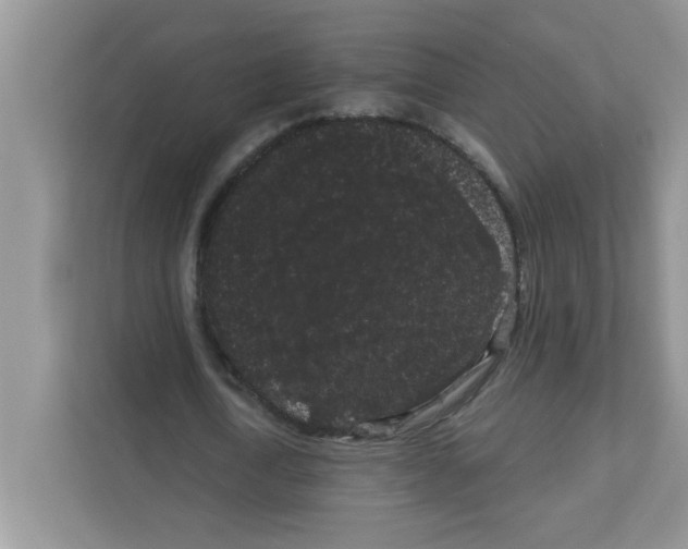 X0000111050722200907231555