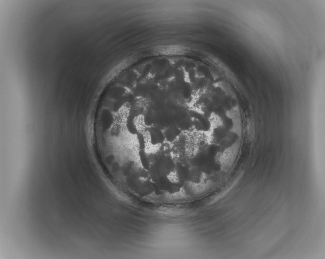 X0000111050725200907231555