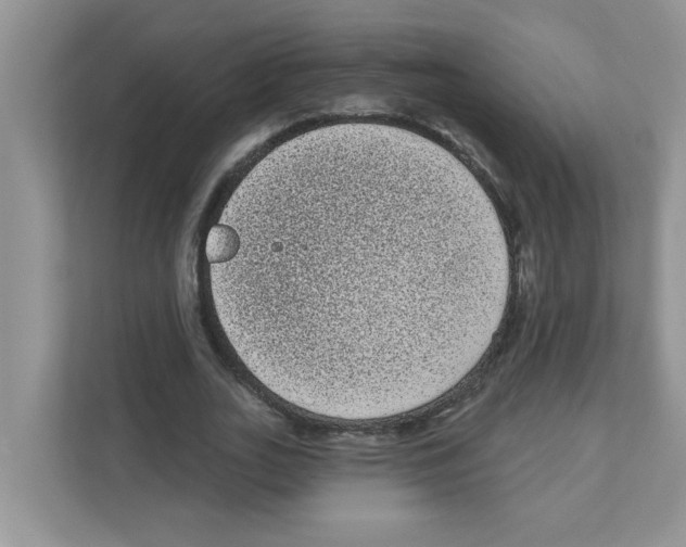 X0000111050727200907231555