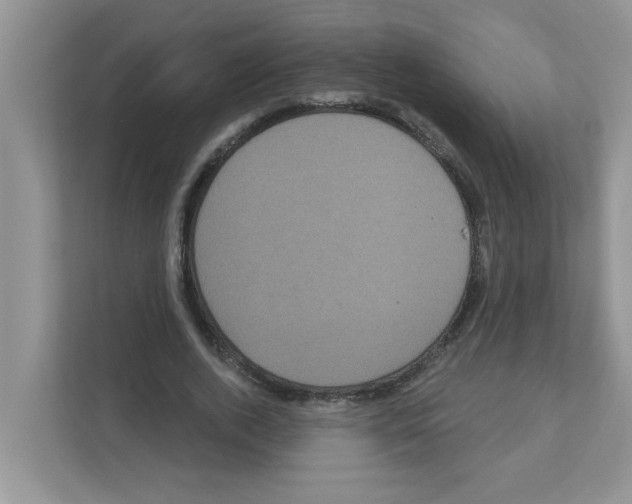 X0000111050728200907231555