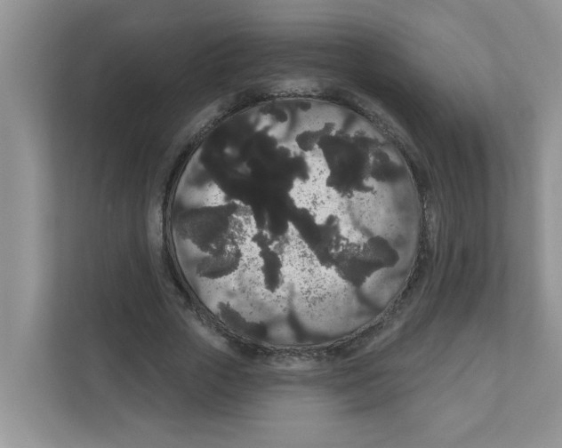 X0000111050729200907231555