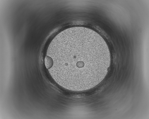 X0000111050731200907231555