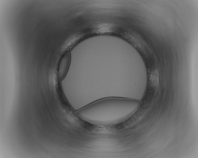 X0000111050732200907231555