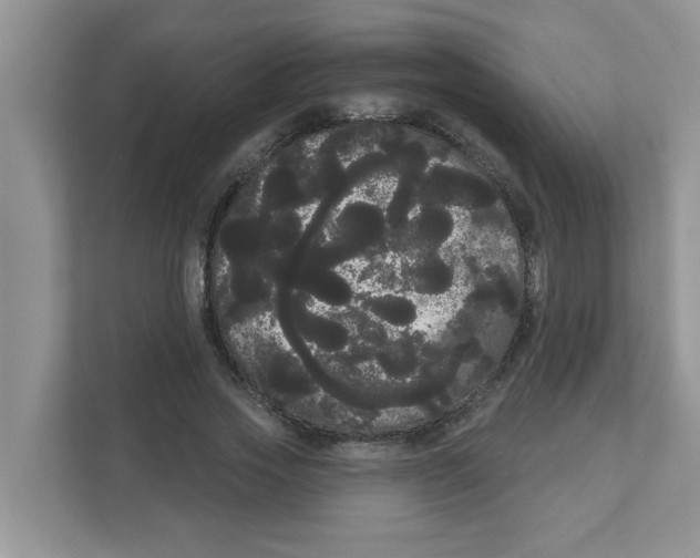 X0000111050733200907231555