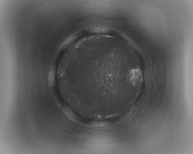 X0000111050735200907231555