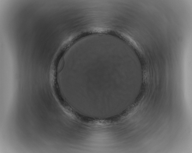 X0000111050736200907231555