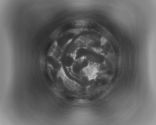 X0000111050737200907231555