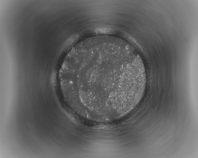 X0000111050738200907231555