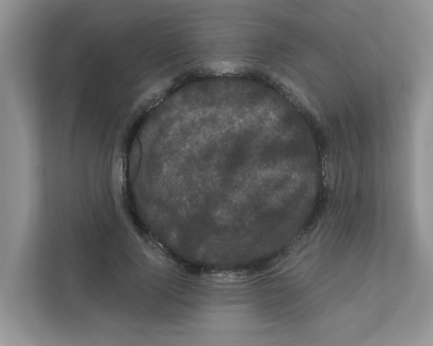 X0000111050740200907231555