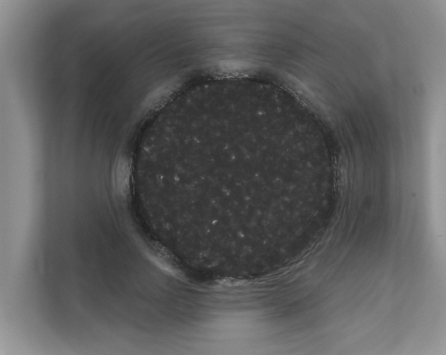 X0000111050742200907231555