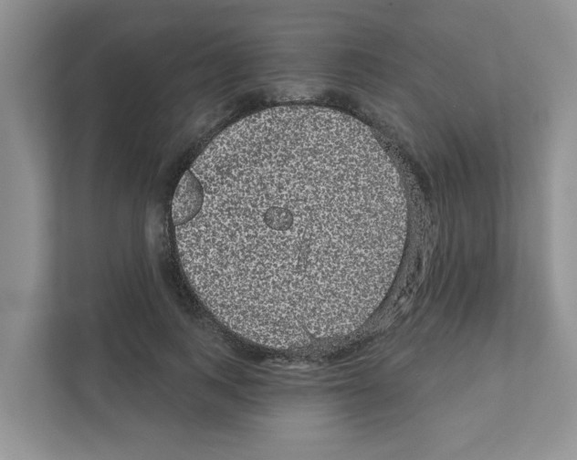 X0000111050743200907231555