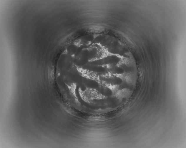 X0000111050745200907231555