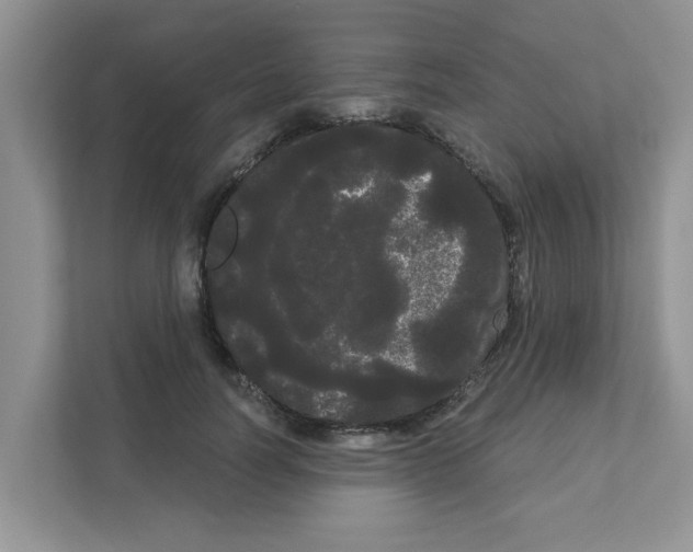 X0000111050746200907231555