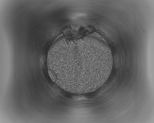 X0000111050747200907231555