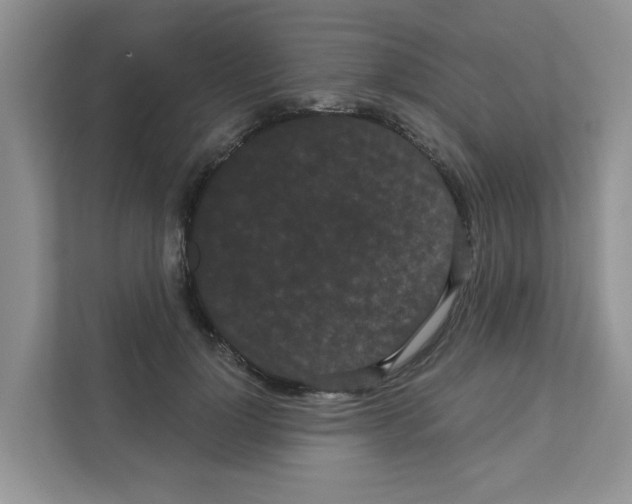 X0000111050748200907231555