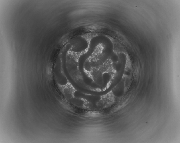 X0000111050749200907231555