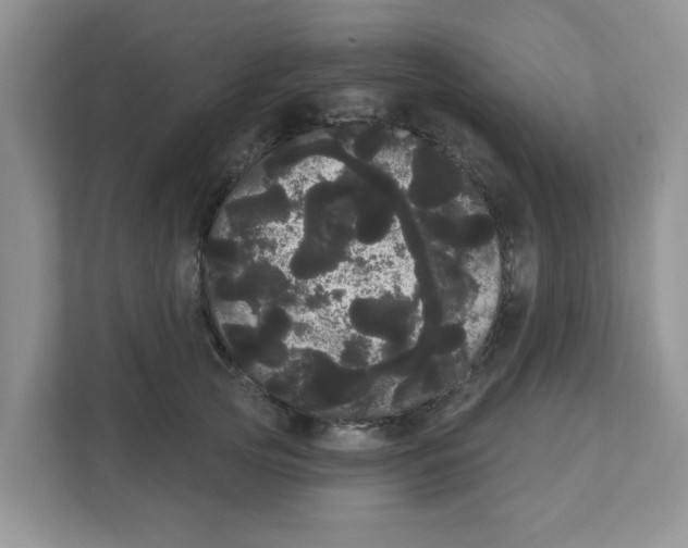 X0000111050753200907231555