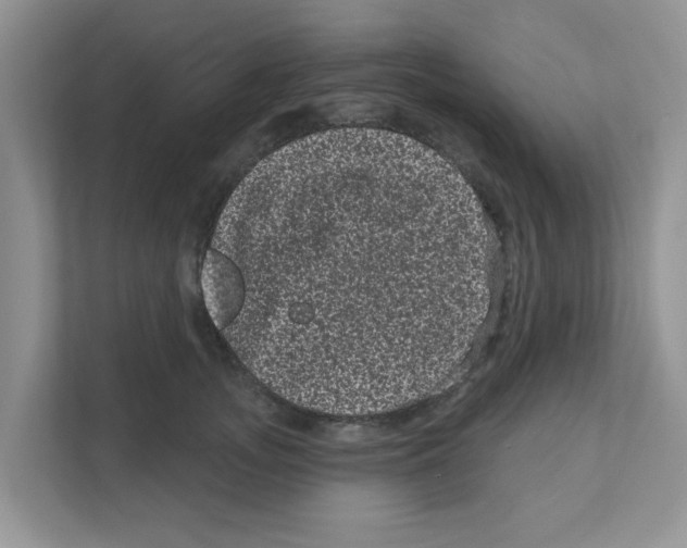 X0000111050755200907231555