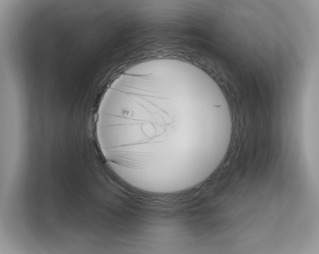 X0000111050756200907231556