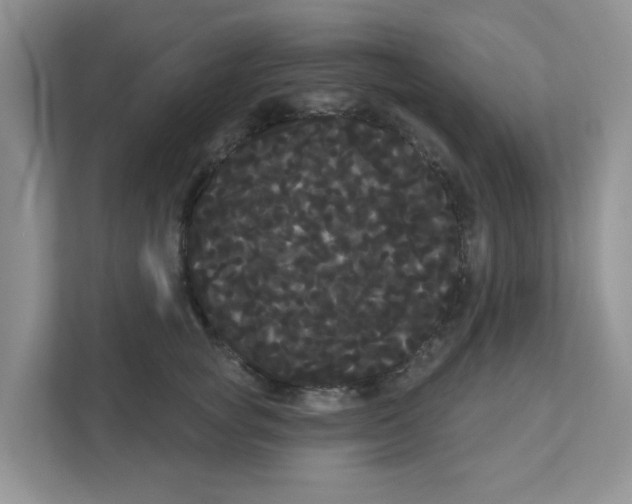 X0000111050757200907231556