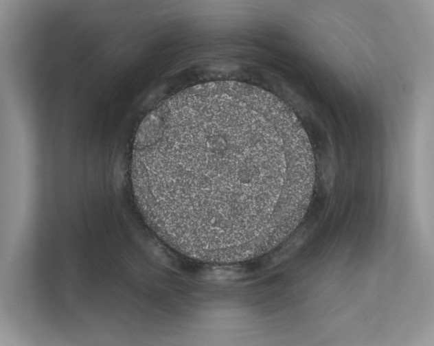 X0000111050758200907231556