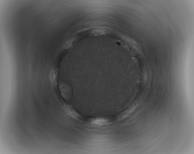 X0000111050759200907231556