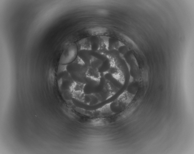 X0000111050761200907231556