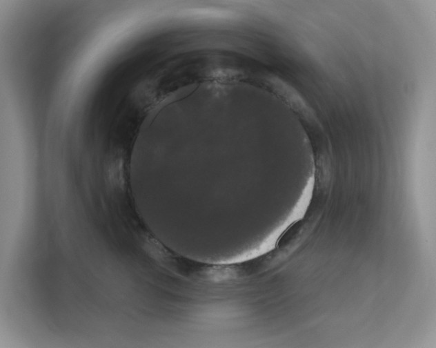 X0000111050762200907231556