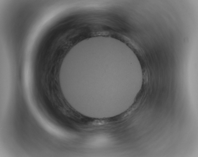 X0000111050764200907231556