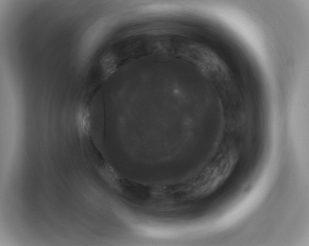 X0000111050766200907231556