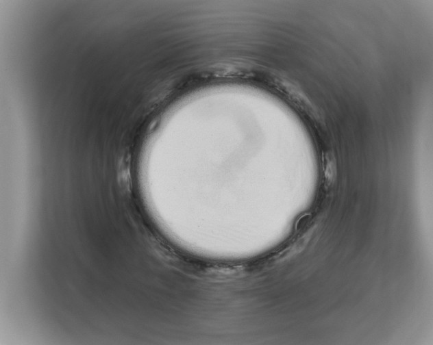 X0000111050771200907231555