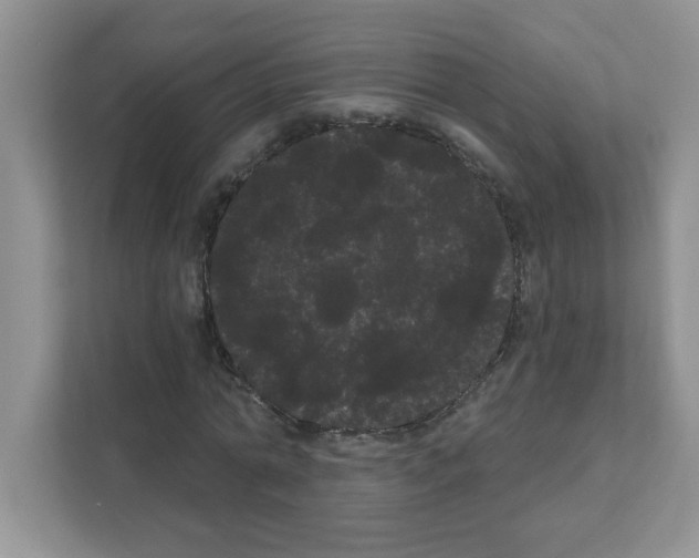 X0000111050774200907231555