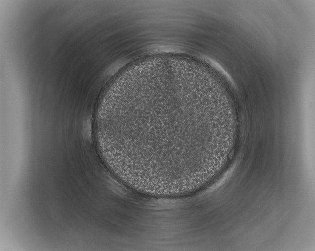 X0000111050777200907231555