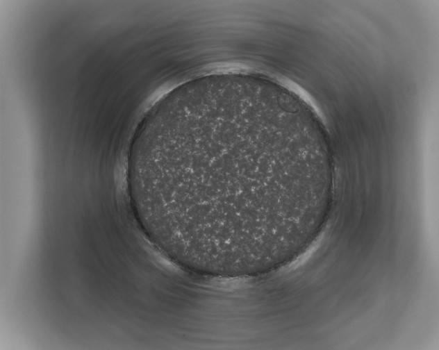 X0000111050778200907231555