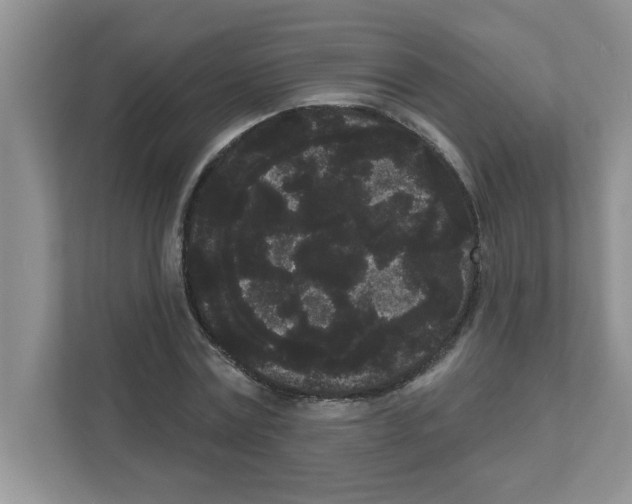 X0000111050779200907231555