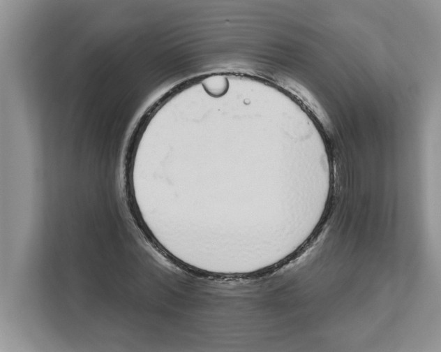 X0000111050780200907231555