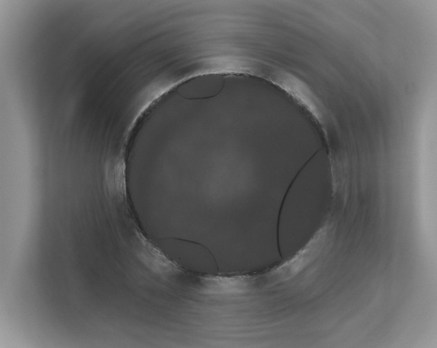 X0000111050781200907231555