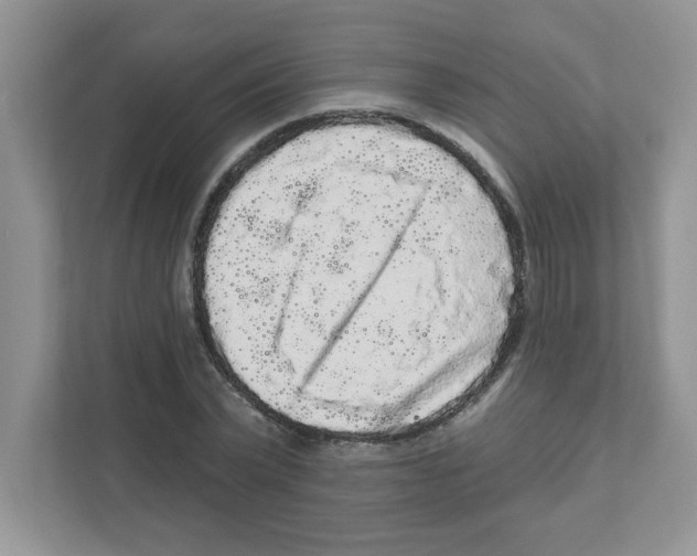 X0000111050783200907231555