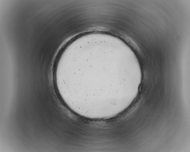 X0000111050784200907231555