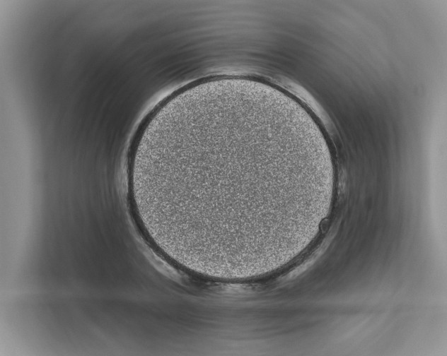 X0000111050787200907231555