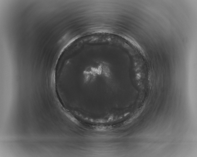 X0000111050790200907231555