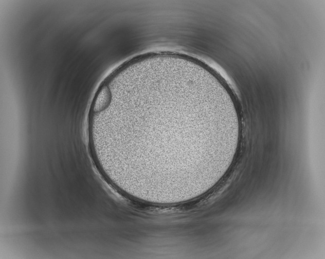 X0000111050791200907231555