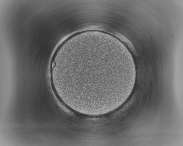 X0000111050792200907231555